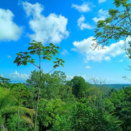 Osa Private Renting House-Villas-Tented-Best Views-Nature-Comfort Puerto Jiménez Extérieur photo