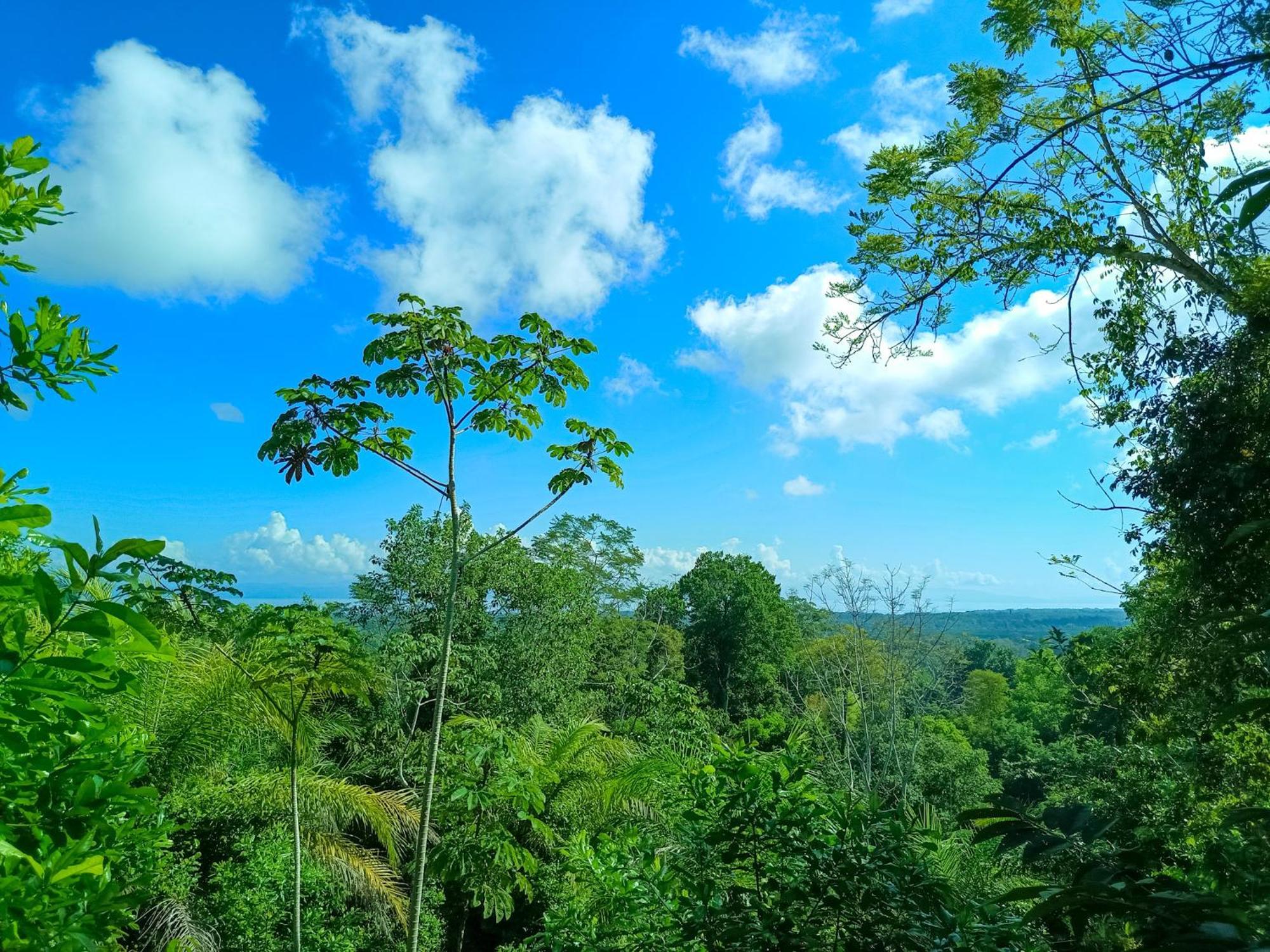 Osa Private Renting House-Villas-Tented-Best Views-Nature-Comfort Puerto Jiménez Extérieur photo