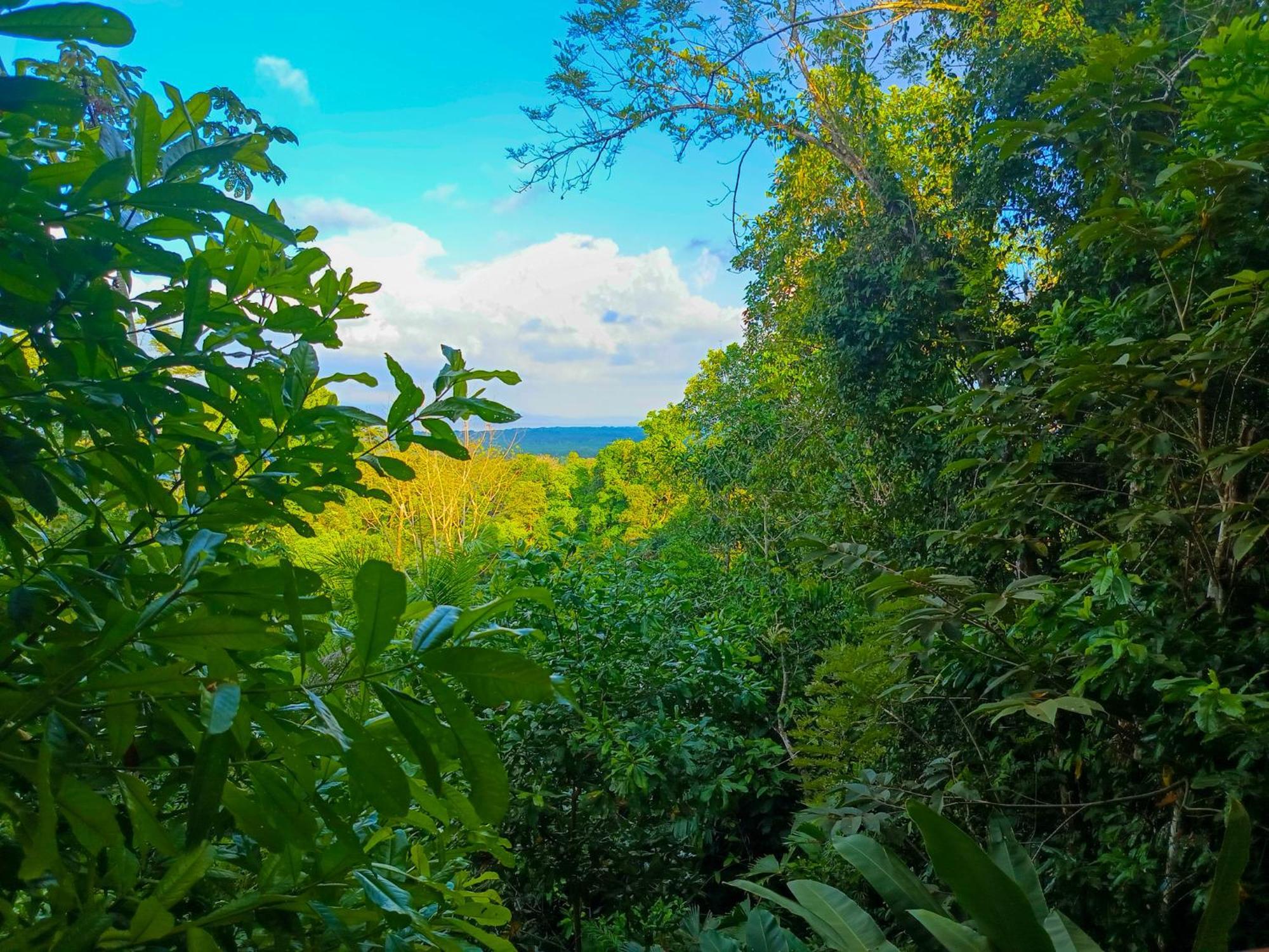 Osa Private Renting House-Villas-Tented-Best Views-Nature-Comfort Puerto Jiménez Extérieur photo