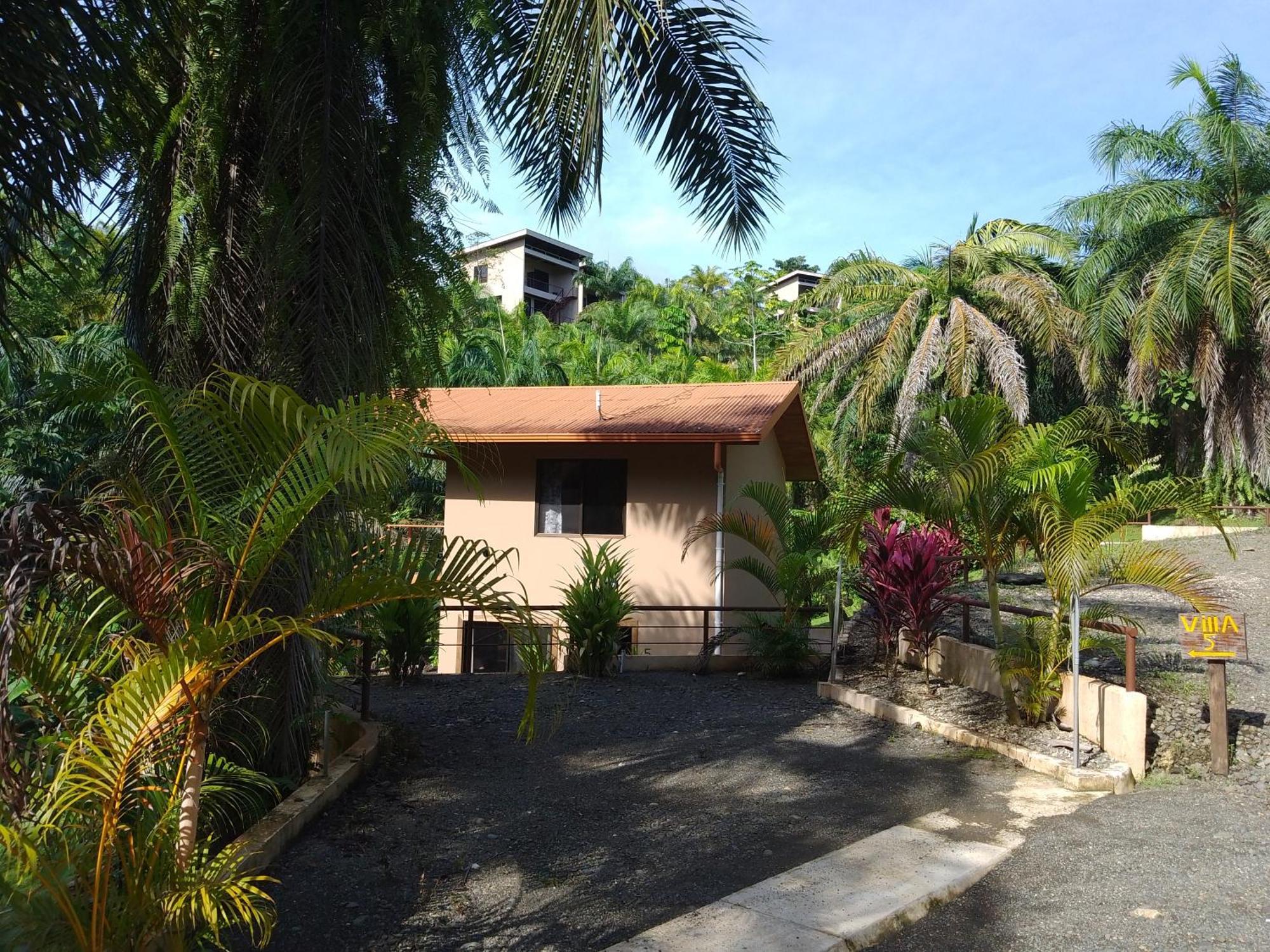 Osa Private Renting House-Villas-Tented-Best Views-Nature-Comfort Puerto Jiménez Extérieur photo