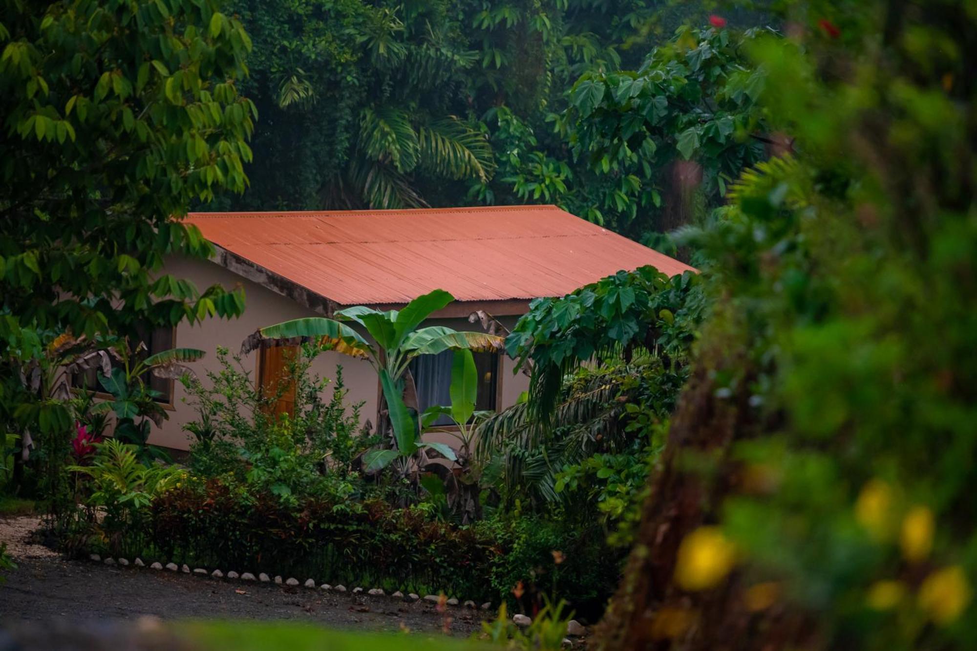 Osa Private Renting House-Villas-Tented-Best Views-Nature-Comfort Puerto Jiménez Extérieur photo