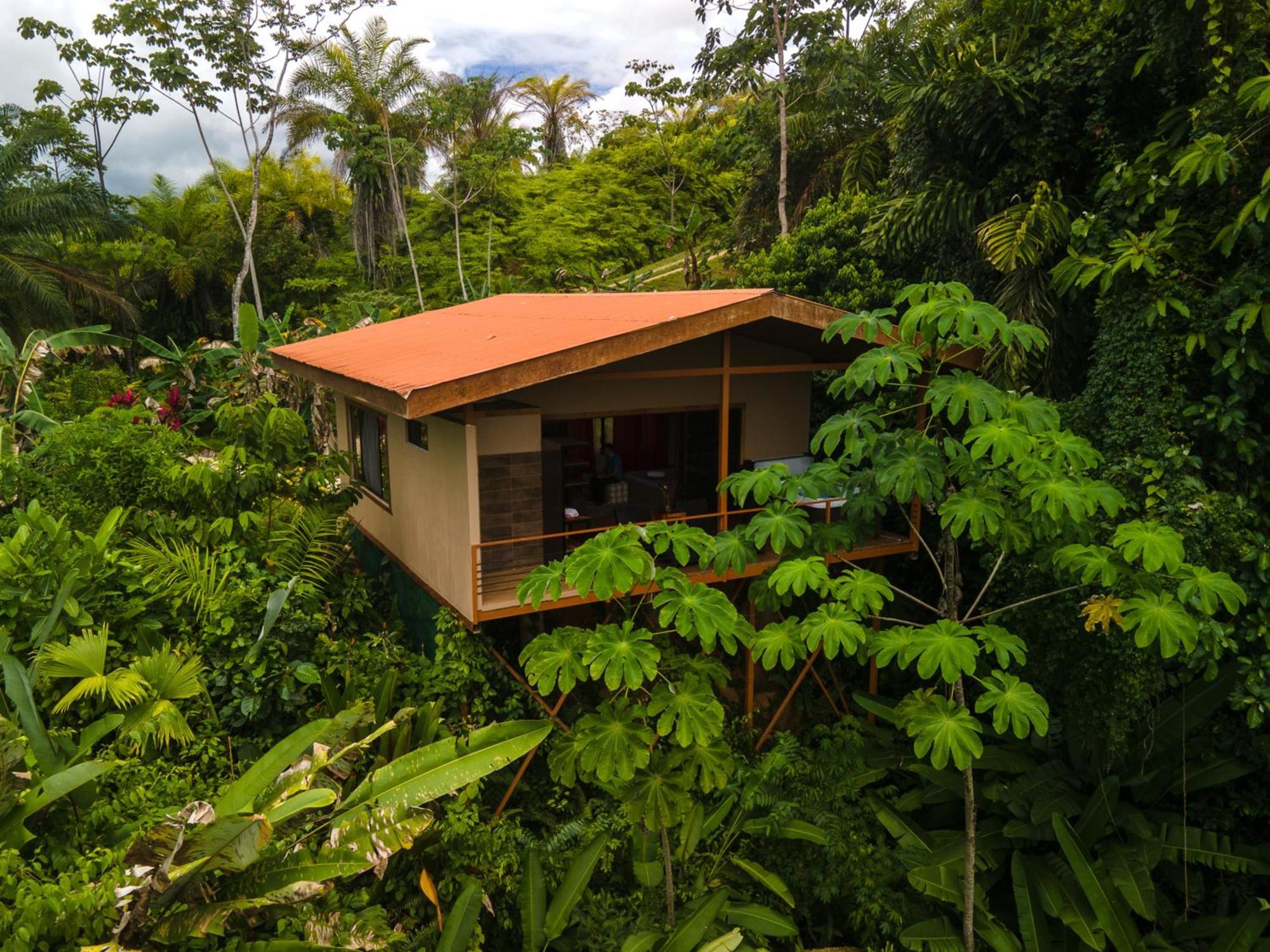 Osa Private Renting House-Villas-Tented-Best Views-Nature-Comfort Puerto Jiménez Extérieur photo